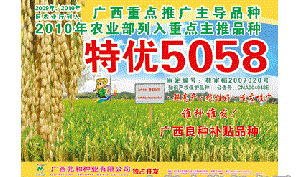 特优5058水稻品种好不好? 特优5058水稻品种好不好?