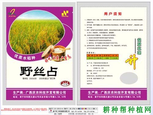 野丝占水稻品种好不好? 野丝占水稻品种好不好?