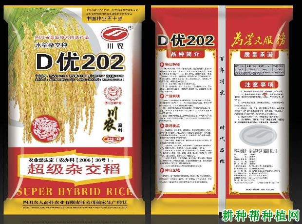 D优202杂交籼稻水稻品种好不好? D优202杂交籼稻水稻品种好不好?