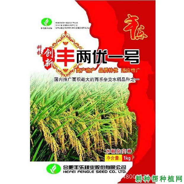 丰两优1号水稻品种好不好? 丰两优1号水稻品种好不好?