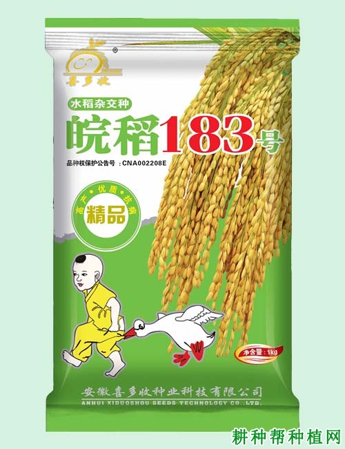 皖稻183号杂交籼稻水稻品种好不好? 皖稻183号杂交籼稻水稻品种好不好?