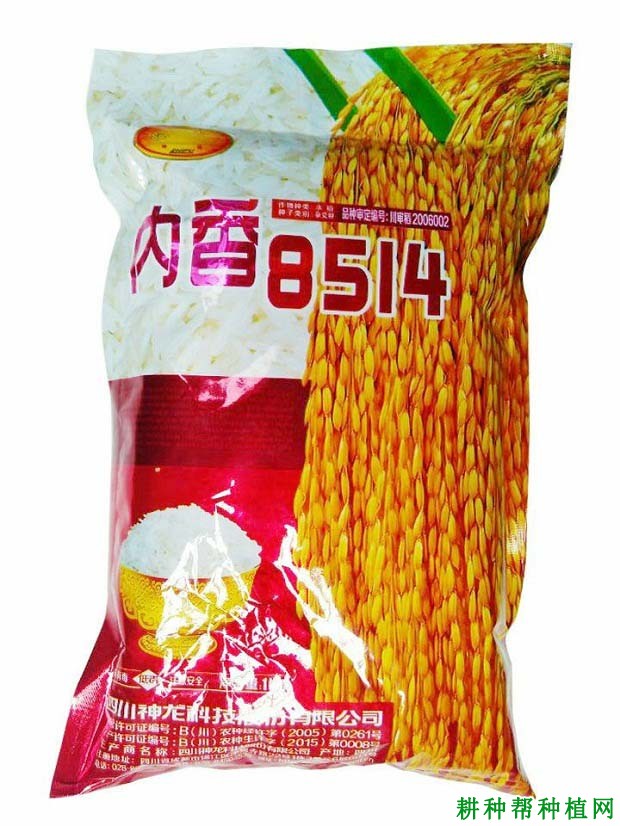 内香8514杂交籼稻水稻品种好不好? 内香8514杂交籼稻水稻品种好不好?