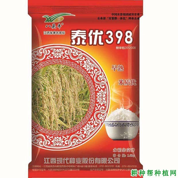 泰优398杂交籼稻水稻品种好不好? 泰优398杂交籼稻水稻品种好不好?