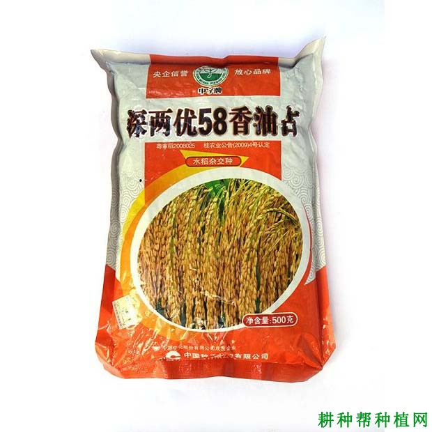 深两优58油占水稻品种好不好? 深两优58油占水稻品种好不好?
