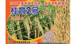 桂育2号水稻品种好不好? 桂育2号水稻品种好不好?