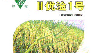 II优淦1号水稻品种好不好? II优淦1号水稻品种好不好?