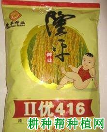 Ⅱ优416杂交籼稻水稻品种好不好? Ⅱ优416杂交籼稻水稻品种好不好?