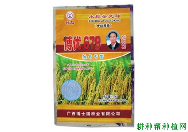 博优679水稻品种好不好? 博优679水稻品种好不好?