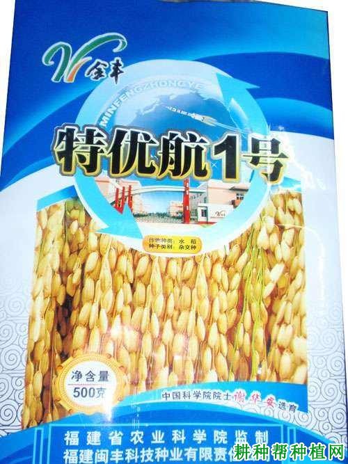 特优航1号水稻品种好不好? 特优航1号水稻品种好不好?