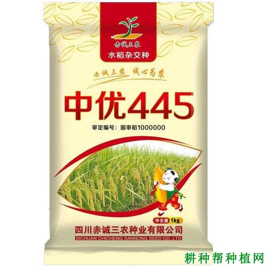 中优445杂交籼稻水稻品种好不好? 中优445杂交籼稻水稻品种好不好?