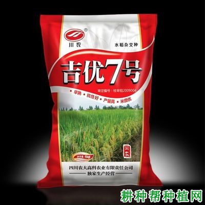 吉优7号水稻品种好不好? 吉优7号水稻品种好不好?