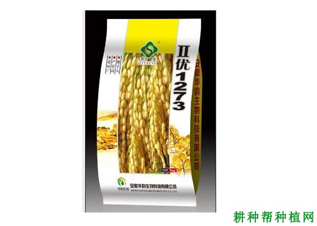 II优1273水稻品种好不好? II优1273水稻品种好不好?