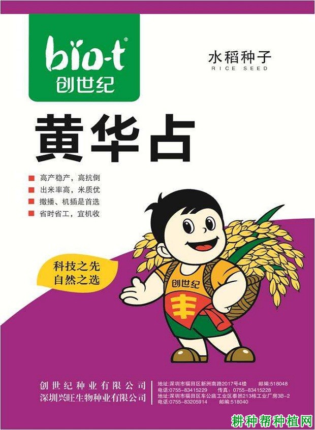 黄华占水稻品种好不好? 黄华占水稻品种好不好?