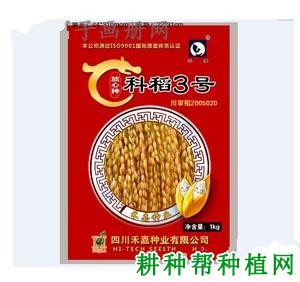 科稻3号杂交籼稻水稻品种好不好? 科稻3号杂交籼稻水稻品种好不好?