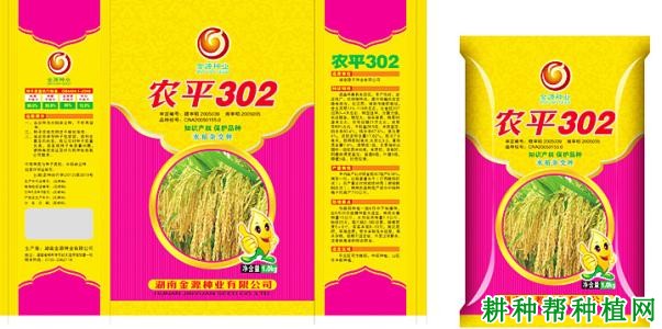 农平302水稻品种好不好? 农平302水稻品种好不好?