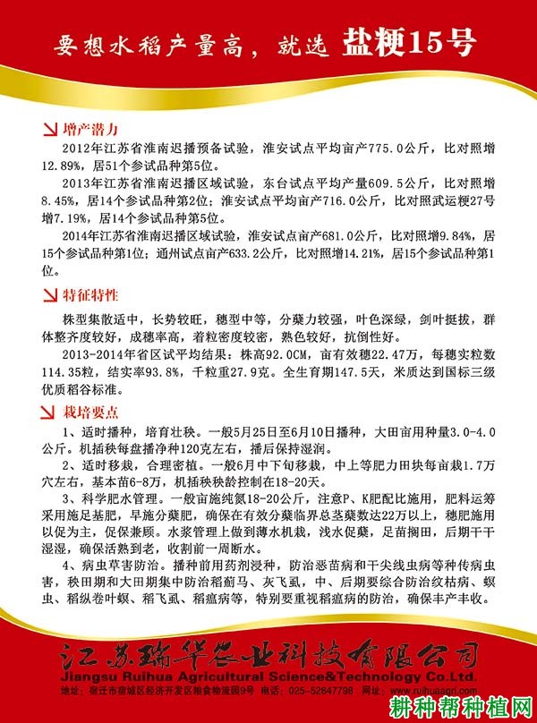 盐粳15号水稻品种好不好? 盐粳15号水稻品种好不好?