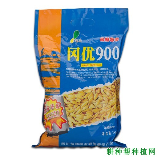 冈优900杂交籼稻水稻品种好不好? 冈优900杂交籼稻水稻品种好不好?
