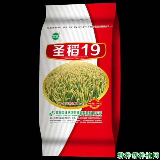 圣稻19常规粳稻水稻品种好不好? 圣稻19常规粳稻水稻品种好不好?