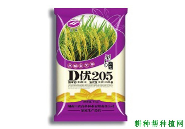 D优205水稻品种好不好? D优205水稻品种好不好?