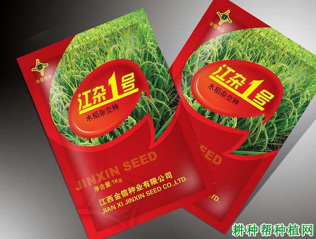 江杂1号水稻品种好不好? 江杂1号水稻品种好不好?