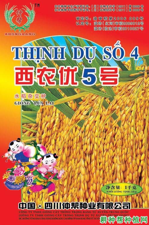西农优5号杂交籼稻水稻品种好不好? 西农优5号杂交籼稻水稻品种好不好?