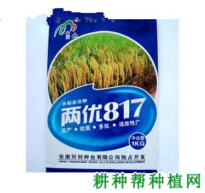 两优817杂交籼稻水稻品种好不好? 两优817杂交籼稻水稻品种好不好?