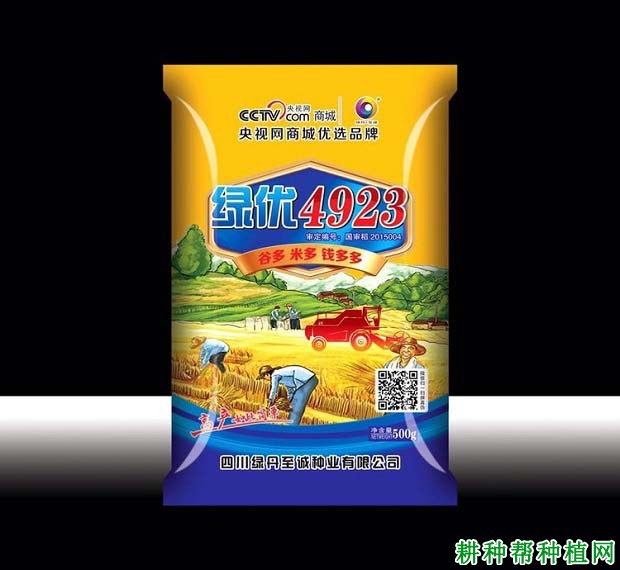 绿优4923水稻品种好不好? 绿优4923水稻品种好不好?