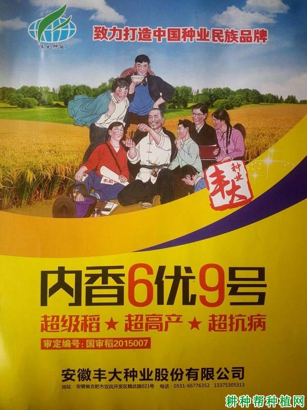 内香6优9号水稻品种好不好? 内香6优9号水稻品种好不好?