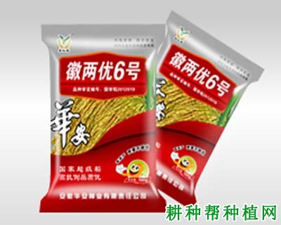 徽两优630水稻品种好不好? 徽两优630水稻品种好不好?