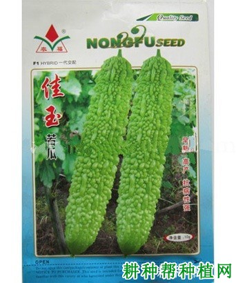 佳玉苦瓜品种好不好? 佳玉苦瓜品种好不好?