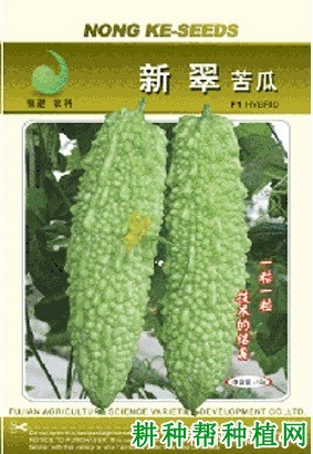 新翠苦瓜品种好不好? 新翠苦瓜品种好不好?