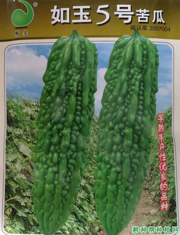 如玉5号苦瓜品种好不好? 如玉5号苦瓜品种好不好?