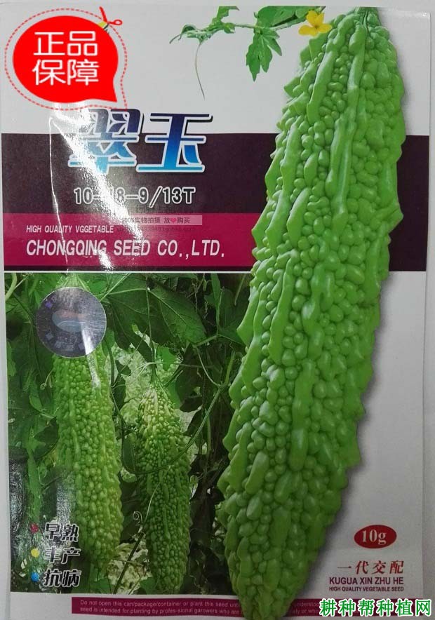 翠玉苦瓜品种好不好? 翠玉苦瓜品种好不好?