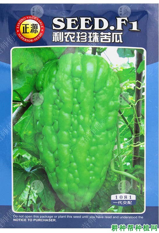 利农珍珠苦瓜品种好不好? 利农珍珠苦瓜品种好不好?