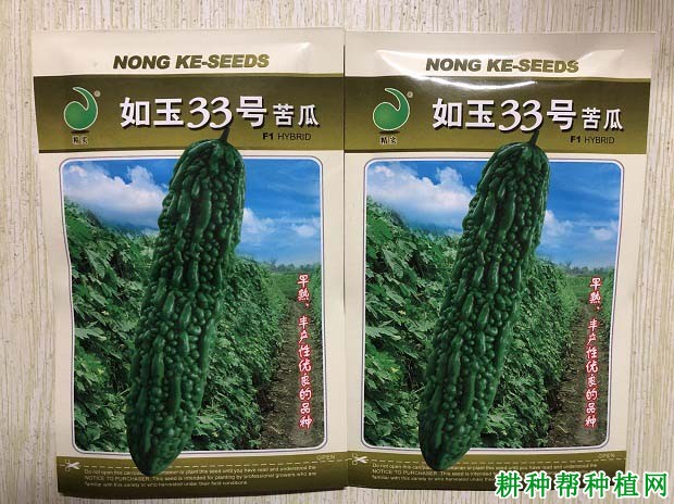 如玉33号苦瓜品种好不好? 如玉33号苦瓜品种好不好?