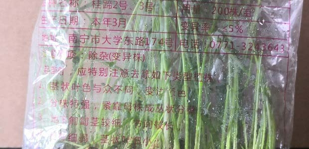 ֲΪʲôҪѡ磿