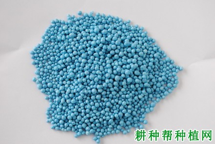 多肽<a href=