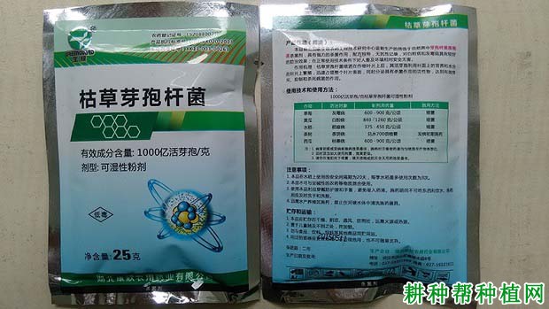 关于“枯草芽孢杆菌”的相关咨询解答