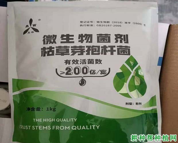 枯草芽孢杆菌使用技术