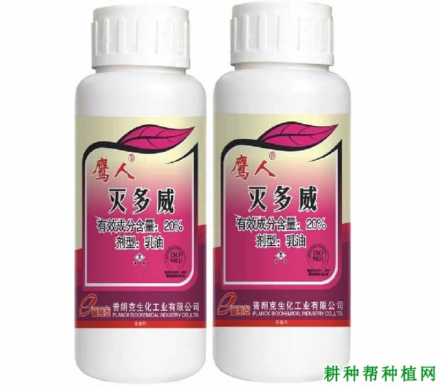 关于“灭多威”的相关咨询解答