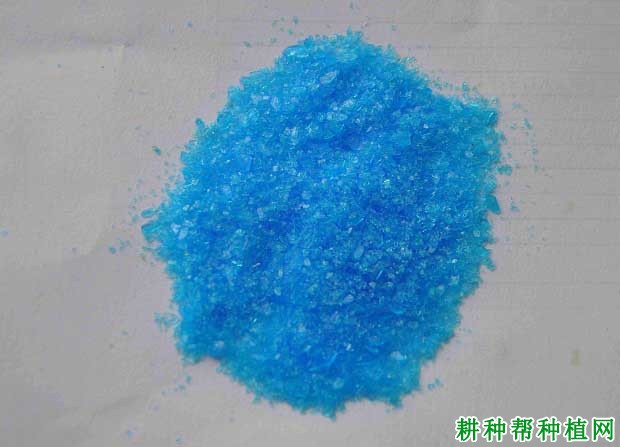 硫酸铜使用技术
