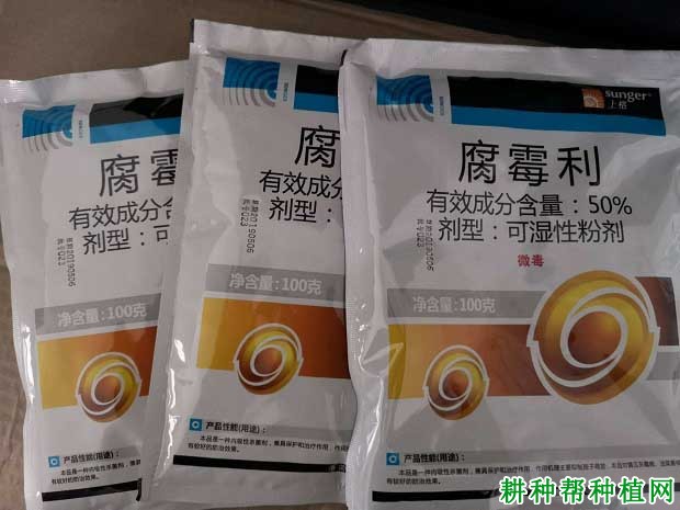 腐霉利使用技术