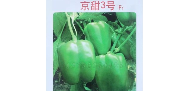3Ʒֽ