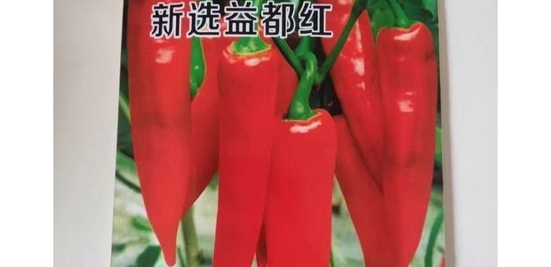 涼Ʒֽ