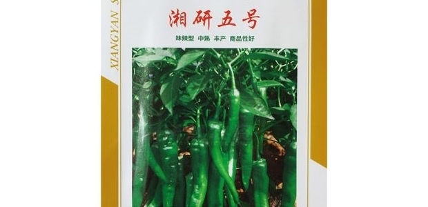 5ţǽƷֽ