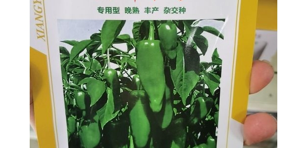 10ţǽƷֽ