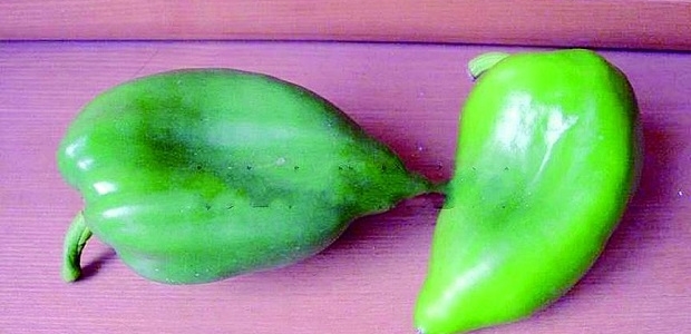 ȱô죿