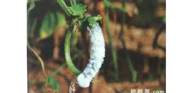 λƹϾ˲ʲôҩã