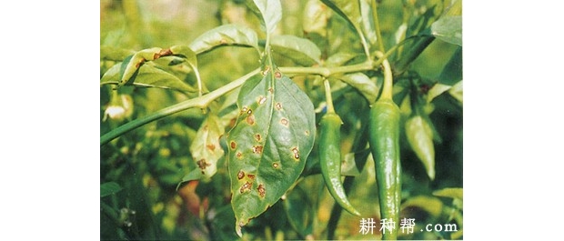 財